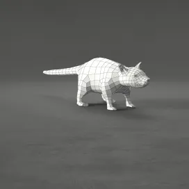 Rat